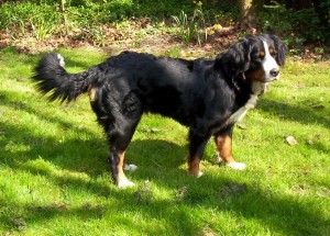 000_5834_bearbeitet-1