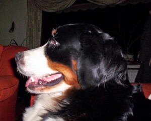 000_4967_bearbeitet-1