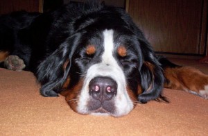 000_3880_bearbeitet-1