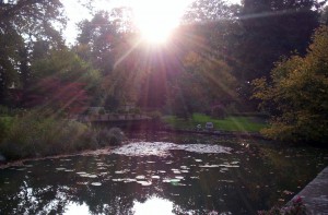 100_0942_bearbeitet-1