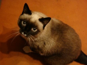 dsc00098