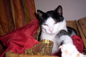 000_3881_bearbeitet-1