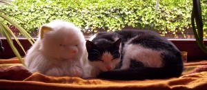 000_3945_bearbeitet-1